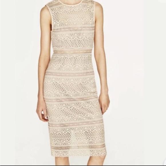 beige lace dress zara SHIMMER LACE DRESS - Beige